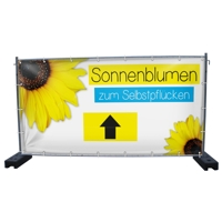 340 x 173 cm | Sonnenblumen Bauzaunbanner (1645)