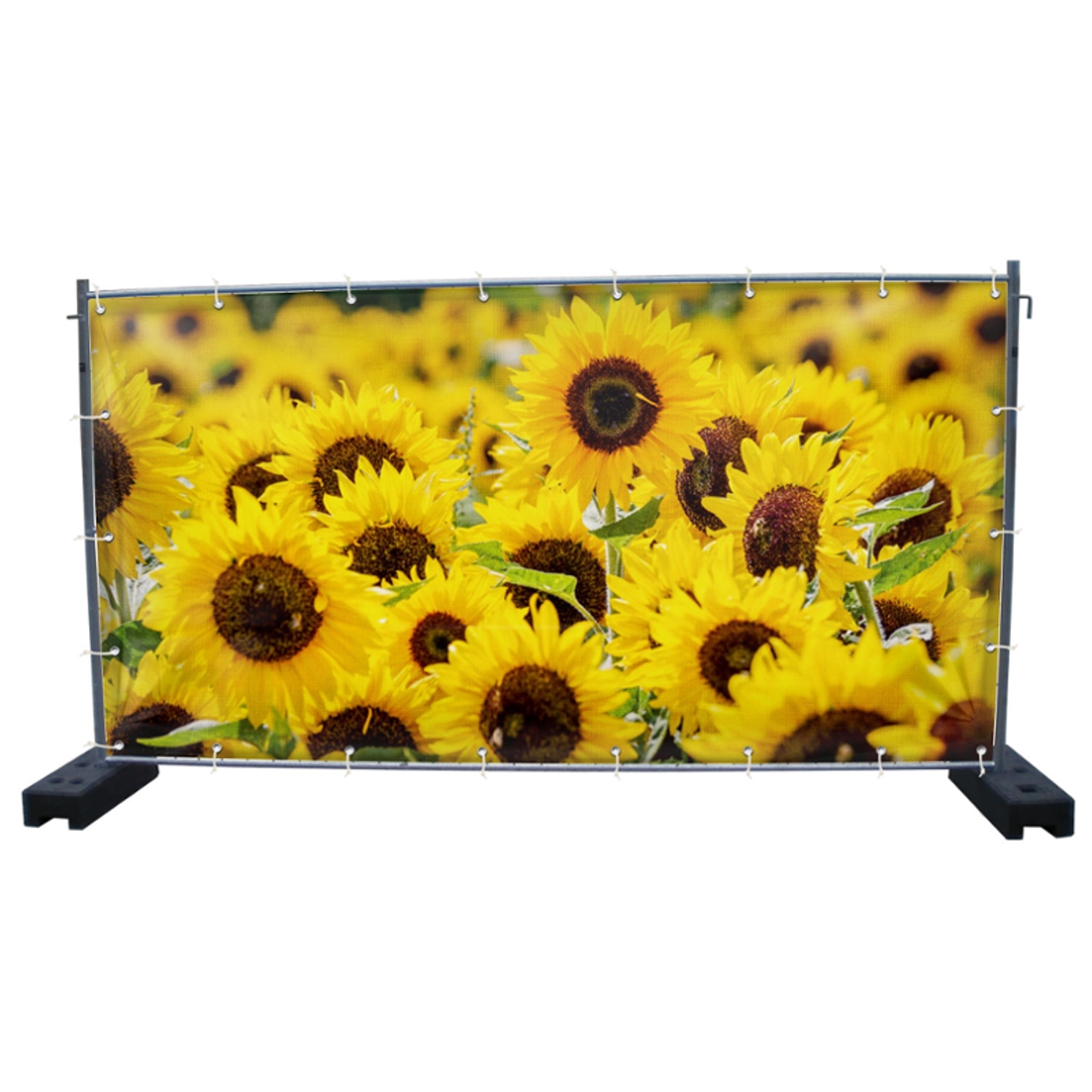 340 x 173 cm | Sonnenblumen Bauzaunbanner (3234)