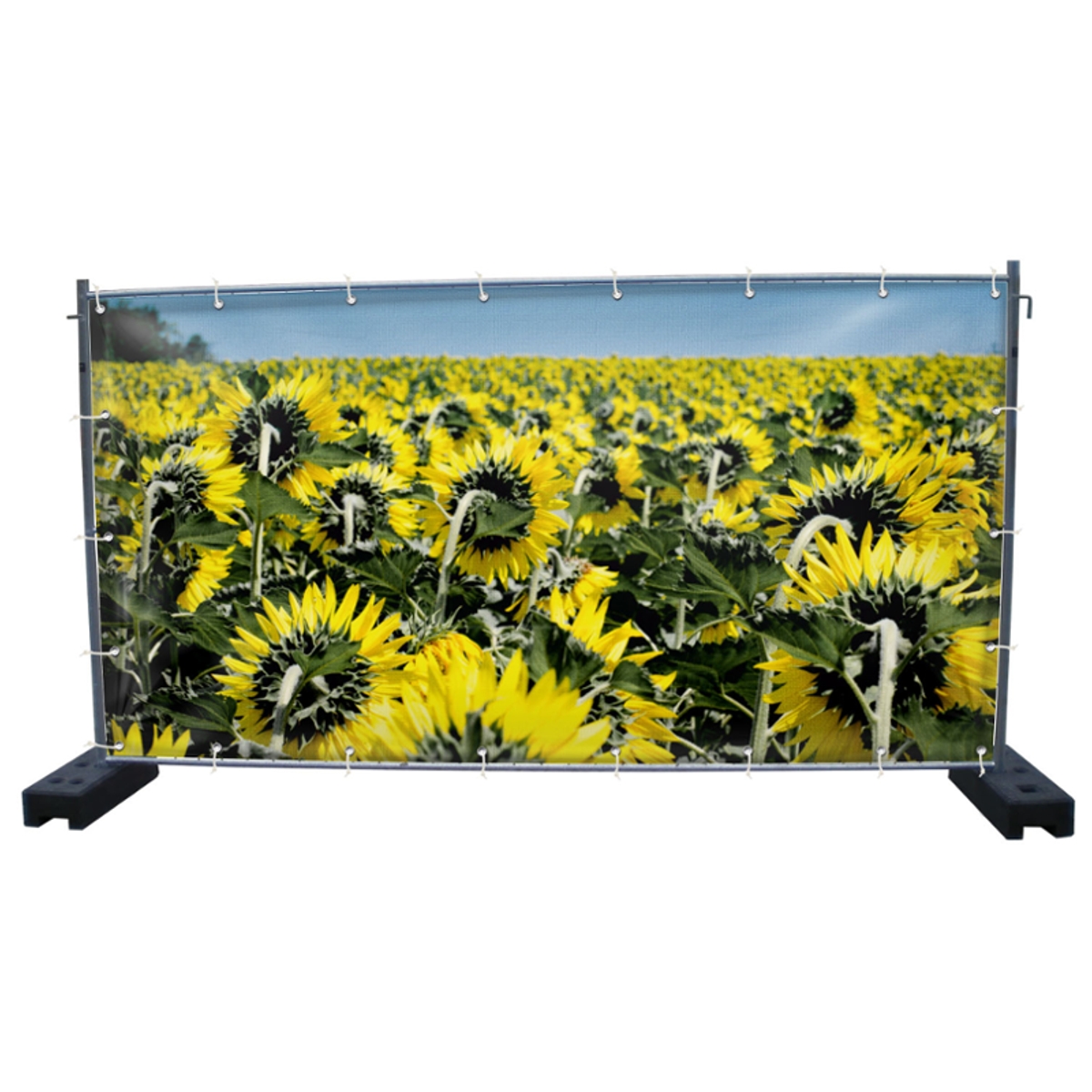 340 x 173 cm | Sonnenblumen Bauzaunbanner (3232)
